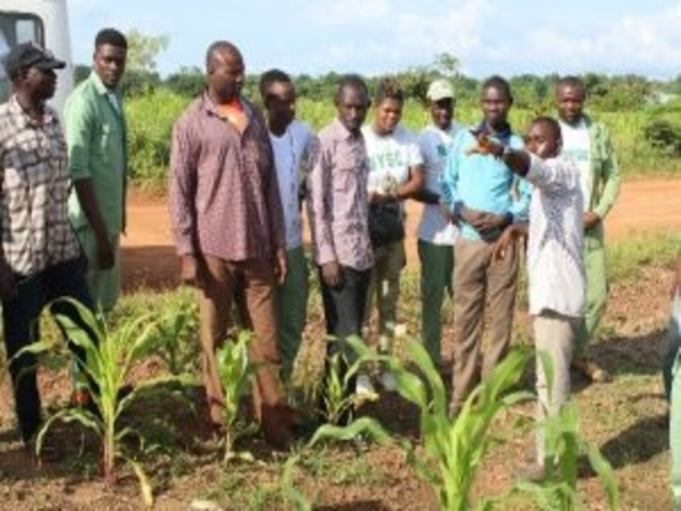 Why African agreprenuers fail in farming Ventures