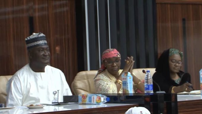 Attacks in school result to Increasing number of drop outs – Federal Government