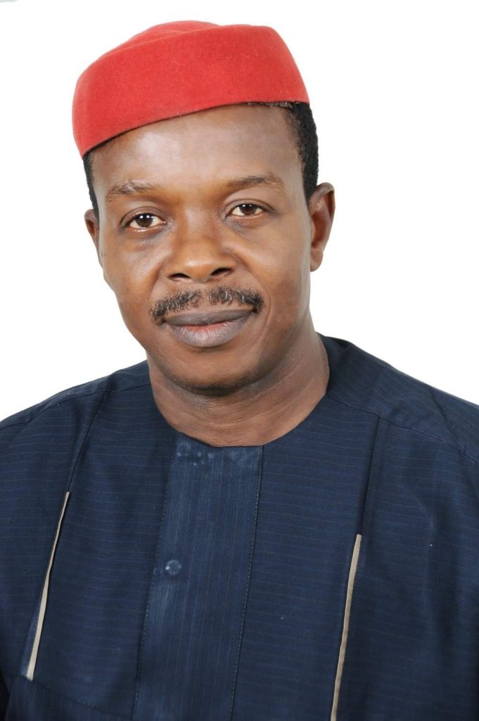 X-raying Senator Patrick Ndubueze’s Performance in 100 Days at National Assembly