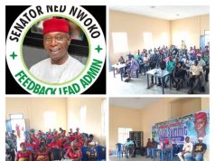 Anioma State: Over 350 Ndokwa Youths Endorse Senator Ned Nwoko’s Bill For Creation