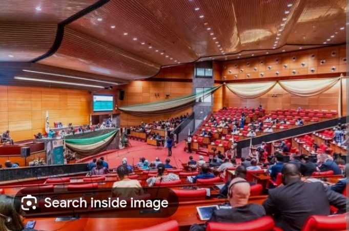 Floods and Conflicts: ECOWAS Parliament Called to Champion Gender-Based Initiatives