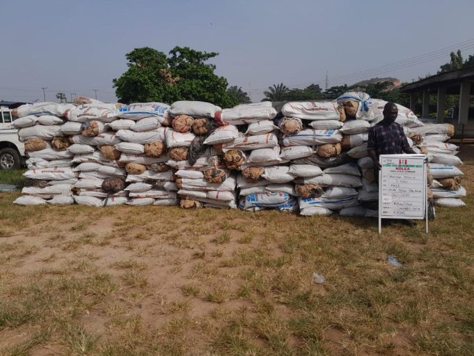 NDLEA Breaks Major Drug Syndicates, Seizes Billions Of Naira Worth Of Narcotics Across Nigeria