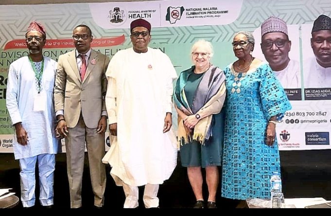 Federal Government Strategises Against Malaria, Launches Advisory On Elimination
