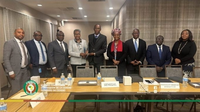 ECOWAS Group Adopts New Guidelines For UN Representation