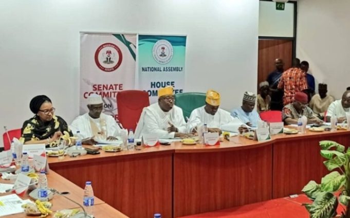 INEC Proposes Diaspora Participation In Future Elections
