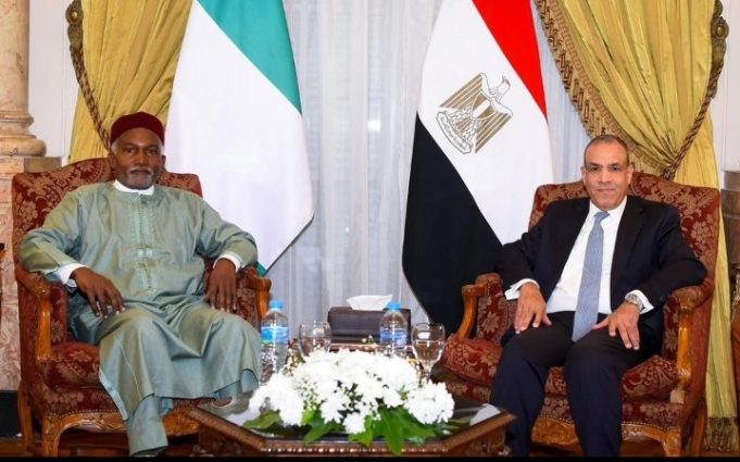 Nigeria, Egypt Forge Comprehensive Partnership, To Establish Chamber Of Commerce In 2025