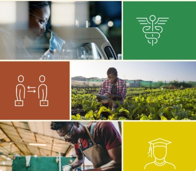 ECOWAS Reports Progress in Human Capital Development, Calls for Urgent Education Reforms