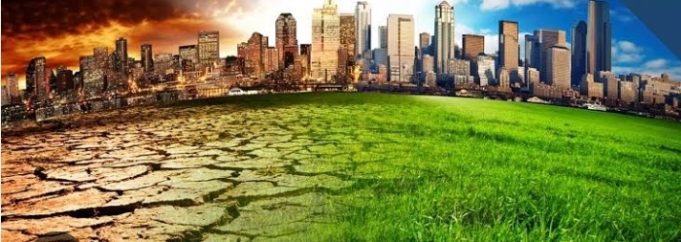 ECOWAS Leading The Green Revolution To Combat Climate Change