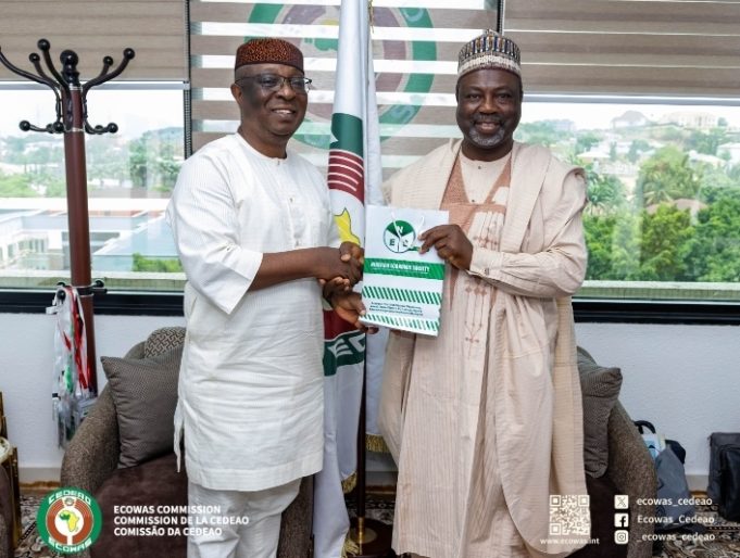 NES President Engages ECOWAS Commissioner On Regional Economic Synergies