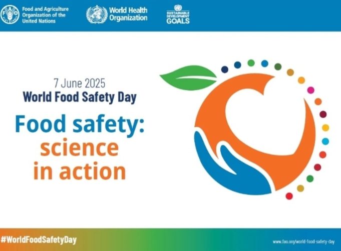 World Food Safety Day: CAPPA Urges Nigeria To Take Junk Off the Menu