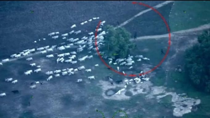 NAF Airstrikes Decimate Terrorists In Niger State, Reassures Civilians Of Safety