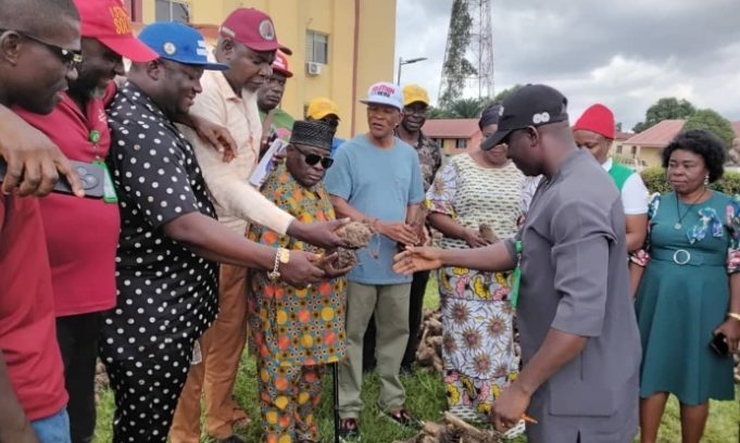 Oyi Mayor Distributes 10,000 Plantain Suckers To Boost Farming Season