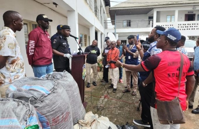 Anambra Police Arrest 54 Suspects, Recover Large Quantity Of Hard Drugs In Fresh Crackdown