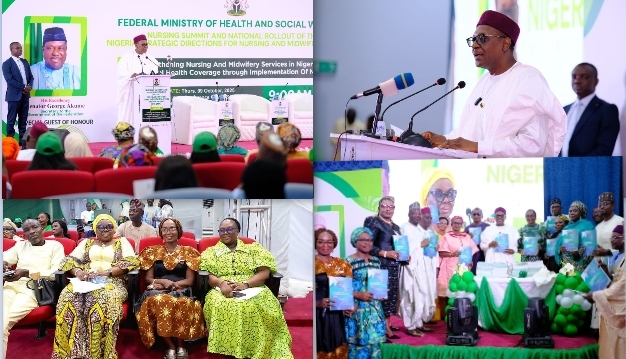 FG Scales Up Nursing School Enrolment From 28,000 to 115,000 In Landmark Health Reforms