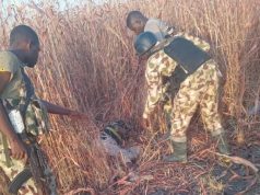 Troops Crush Terrorists, Recover Weapons In Fresh North-East Offensive