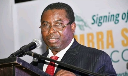 ‘INEC Chair Sack Call Is Blackmail, Not Law’ – Prof Hon, SAN