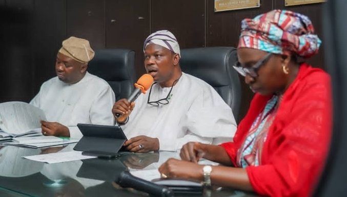 FG Moves To End Blackouts In Hospitals As New Inter-Ministerial Committee Takes Off