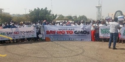 Abuja Rally Rekindles GMO Debate, Urges FG To Enforce 2024 Reps’ Resolution