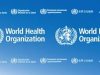 WHO Moves To Rescue Fragile Health Systems In Eastern Mediterranean Region