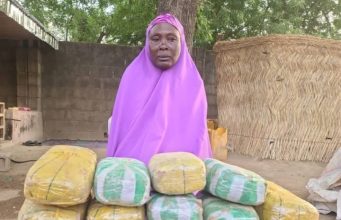 Army Busts Drug Supply Line To Boko Haram In Borno, Arrests 65-Year-Old Suspect