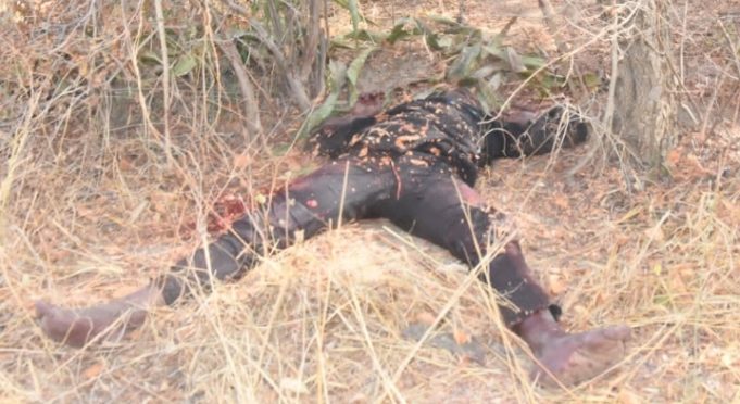 OPERATION FANSAN YAMMA: Troops Overrun Bandit Kingpin’s Camp, Neutralise Scores