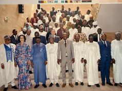 Lake Chad’s Survival Key To Peace, Livelihoods In The Region – Bianca Ojukwu