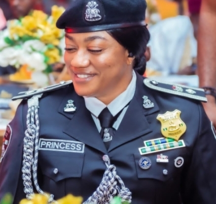 Merit Over Tribe? Police Officer Praises IGP Disu’s Postings As Signal Of Professional Policing