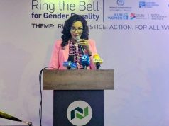 FG, Ohanaeze Move To End ‘Eze Ndigbo’ Titles Abroad After South Africa Crisis