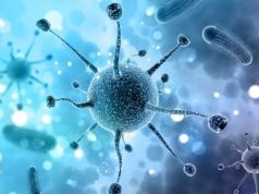 AMR Fight Must Tackle Gender Inequality and Violence, Experts Warn