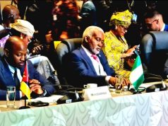 Nigeria Seeks Stronger Global South Alliance At CELAC Forum In Colombia