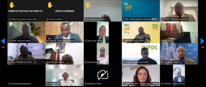 ECOWAS Moves To Shield West Africa From Fertiliser Shock and Rising Prices