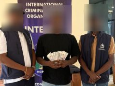 $550,000 Scam Uncovered: Police Nab Suspect In Major Cross-Border Fraud Crackdown