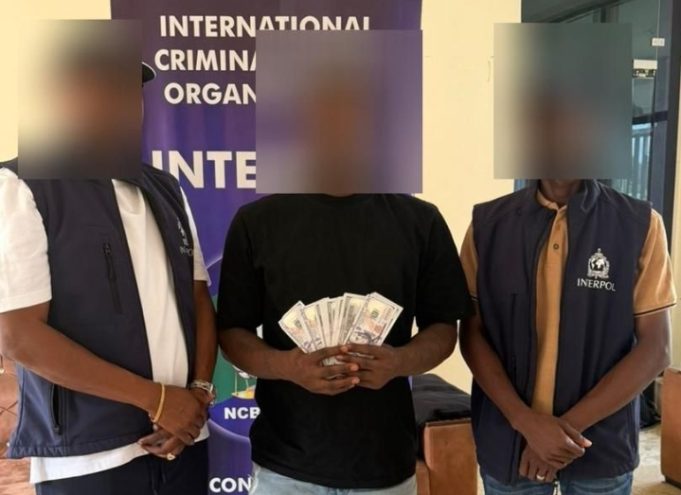 $550,000 Scam Uncovered: Police Nab Suspect In Major Cross-Border Fraud Crackdown