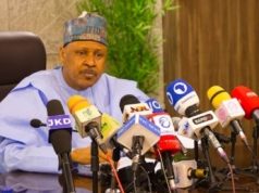 FG Defends Jilli Airstrike, Orders Probe As Civilian Safety Concerns Mount