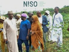 Power Grid Boost: NISO Begins Construction Of New National Control Room In Osogbo