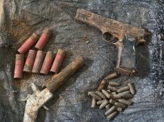 Troops Foil Terror Plot, Recover Arms In Renewed North-East Offensive
