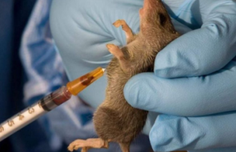 Lassa Fever Death Toll Hits 204 as NCDC Raises Concern Over Rising Fatality Rate