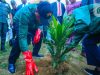 Gov Eno Launches 620,000 Oil Palm Seedlings Scheme To Drive Wealth Creation In Akwa Ibom