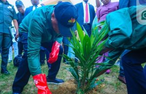 Gov Eno Launches 620,000 Oil Palm Seedlings Scheme To Drive Wealth Creation In Akwa Ibom