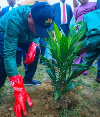 Gov Eno Launches 620,000 Oil Palm Seedlings Scheme To Drive Wealth Creation In Akwa Ibom