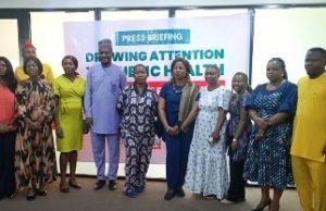 Experts Warn Nigeria Against Turning ‘Hidden Killers’ Into Nutrition Solutions