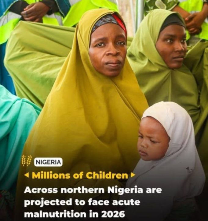 One Million Children Face Severe Malnutrition Crisis In North-East Nigeria, UN Warns
