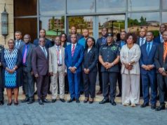 West Africa Must Unite Against Borderless Crime, IGP Disu Tells INTERPOL Chiefs