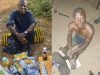 Troops Nab Two Suspected ISWAP Informants In Borno Crackdown