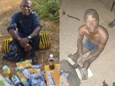 Troops Nab Two Suspected ISWAP Informants In Borno Crackdown
