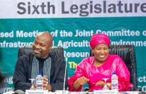 ECOWAS Parliament Advocates Renewable Energy Drive To Transform Rural Economies Across West Africa