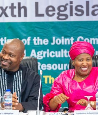 ECOWAS Parliament Advocates Renewable Energy Drive To Transform Rural Economies Across West Africa