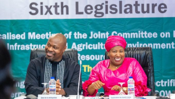 ECOWAS Parliament Advocates Renewable Energy Drive To Transform Rural Economies Across West Africa