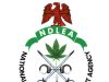 NDLEA Warns Nigerians Against Fake Vehicle Auction Scam Using Officials’ Names