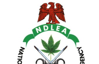 NDLEA Warns Nigerians Against Fake Vehicle Auction Scam Using Officials’ Names
